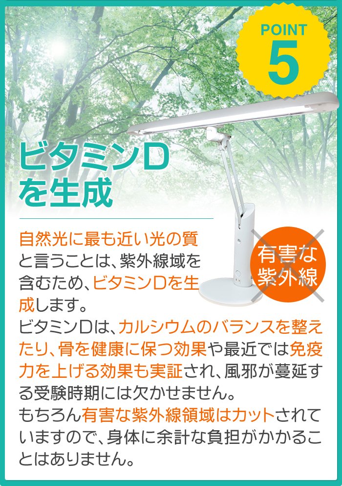 ビタミンDを生成